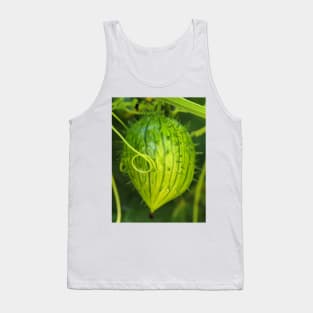 Oregon manroot (Marah oreganus) fruit Tank Top